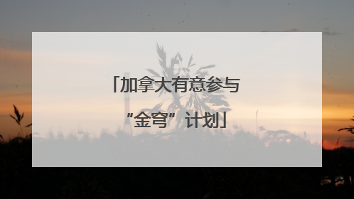 加拿大有意参与“金穹”计划