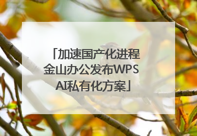 加速国产化进程 金山办公发布WPS AI私有化方案