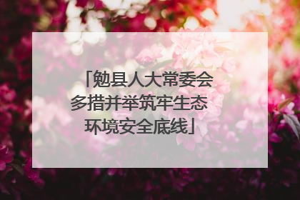 勉县人大常委会多措并举筑牢生态环境安全底线