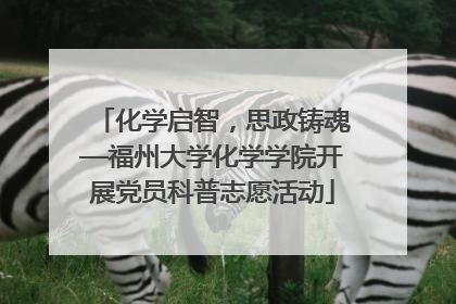 化学启智，思政铸魂—福州大学化学学院开展党员科普志愿活动