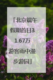 北京端午假期首日31.67万游客雨中漫步游园