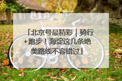 北京号最精彩｜骑行+跑步！海淀这几条绝美路线不容错过