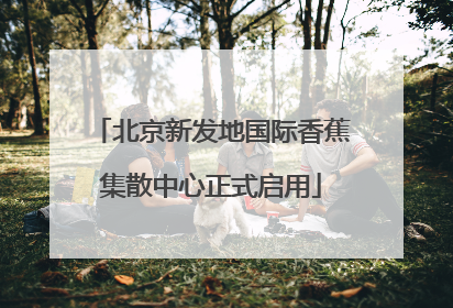 北京新发地国际香蕉集散中心正式启用