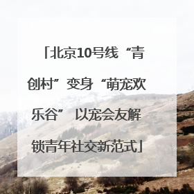 北京10号线“青创村”变身“萌宠欢乐谷” 以宠会友解锁青年社交新范式