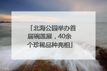北海公园举办首届碗莲展，40余个珍稀品种亮相
