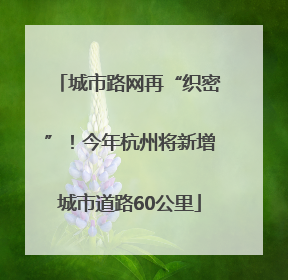城市路网再“织密”！今年杭州将新增城市道路60公里