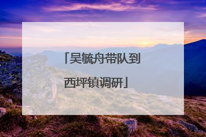 吴毓舟带队到西坪镇调研