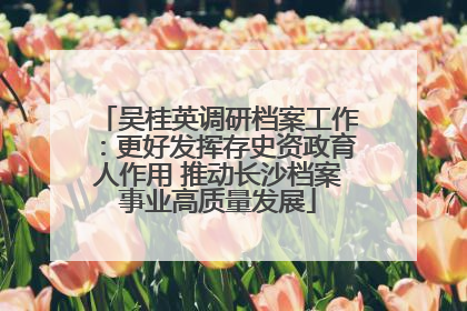 吴桂英调研档案工作：更好发挥存史资政育人作用 推动长沙档案事业高质量发展
