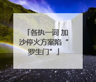 各执一词 加沙停火方案陷“罗生门”