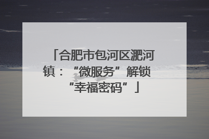 合肥市包河区淝河镇：“微服务”解锁“幸福密码”