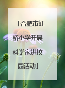 合肥市虹桥小学开展科学家进校园活动