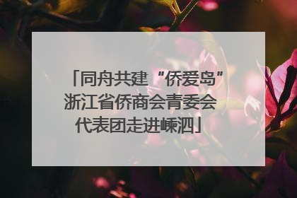 同舟共建“侨爱岛” 浙江省侨商会青委会代表团走进嵊泗