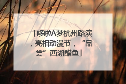 哆啦A梦杭州路演，亮相动漫节，“品尝”西湖醋鱼