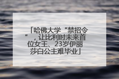 哈佛大学“禁招令”，让比利时未来首位女王、23岁伊丽莎白公主难毕业