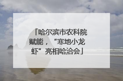 哈尔滨市农科院赋能，“寒地小龙虾”亮相哈洽会