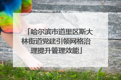 哈尔滨市道里区斯大林街道党建引领网格治理提升管理效能