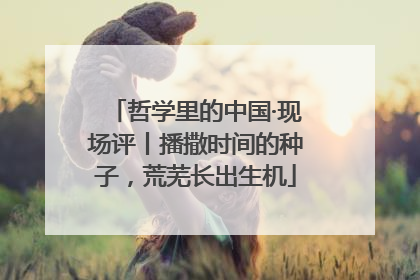 哲学里的中国·现场评丨播撒时间的种子，荒芜长出生机