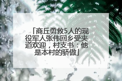 商丘勇救5人的现役军人张伟回乡受夹道欢迎，村支书：他是本村的骄傲