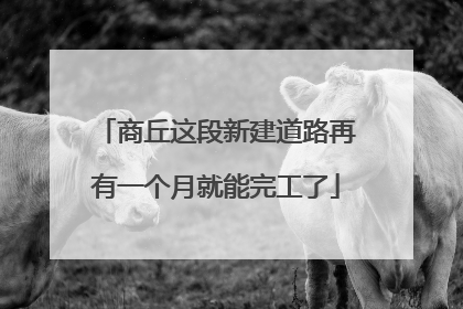 商丘这段新建道路再有一个月就能完工了