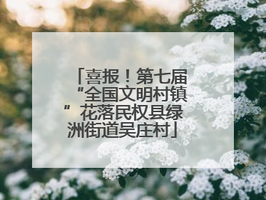 喜报!第七届“全国文明村镇”花落民权县绿洲街道吴庄村