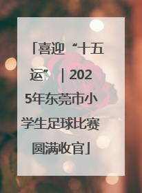 喜迎“十五运”｜2025年东莞市小学生足球比赛圆满收官
