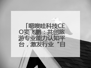 嗯噢哇科技CEO窦飞鹏：共创旅游专业能力认知平台，激发行业“自生长”力量