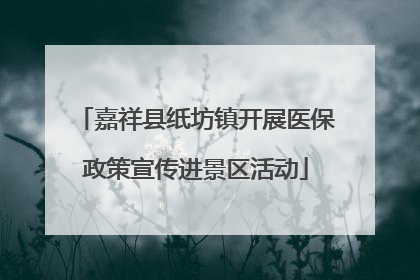 嘉祥县纸坊镇开展医保政策宣传进景区活动