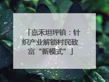 嘉禾坦坪镇：针织产业解锁村民致富“新模式”
