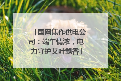 国网焦作供电公司：端午情浓，电力守护艾叶飘香