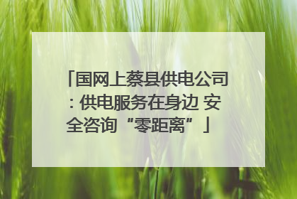 国网上蔡县供电公司：供电服务在身边 安全咨询“零距离”