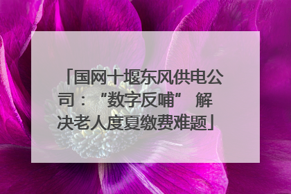国网十堰东风供电公司：“数字反哺” 解决老人度夏缴费难题