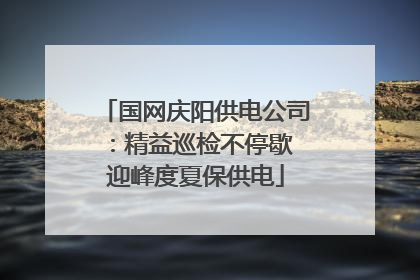 国网庆阳供电公司：精益巡检不停歇 迎峰度夏保供电