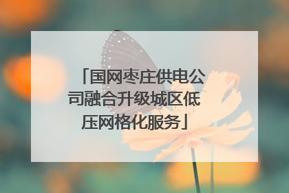 国网枣庄供电公司融合升级城区低压网格化服务