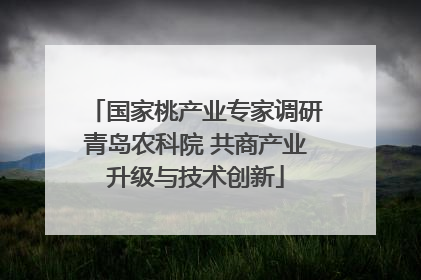 国家桃产业专家调研青岛农科院 共商产业升级与技术创新