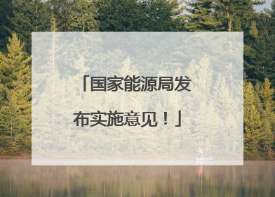 国家能源局发布实施意见！