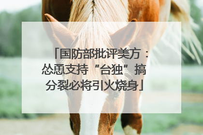 国防部批评美方：怂恿支持“台独”搞分裂必将引火烧身