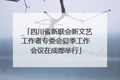 四川省新联会新文艺工作者专委会夏季工作会议在成都举行