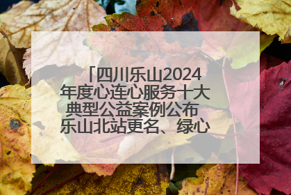 四川乐山2024年度心连心服务十大典型公益案例公布 乐山北站更名、绿心路井盖治理等上榜