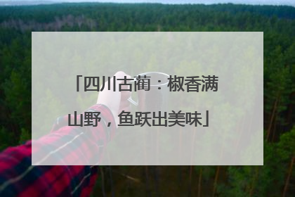 四川古蔺：椒香满山野，鱼跃出美味