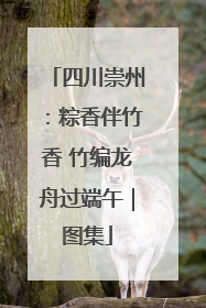 四川崇州：粽香伴竹香 竹编龙舟过端午｜图集
