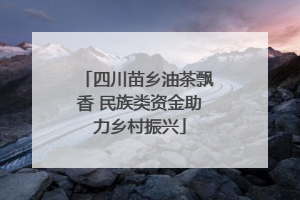 四川苗乡油茶飘香 民族类资金助力乡村振兴