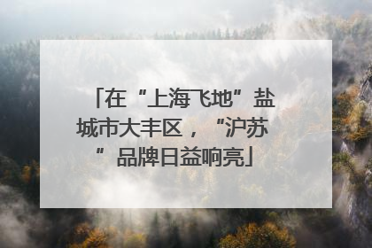 在“上海飞地”盐城市大丰区，“沪苏”品牌日益响亮