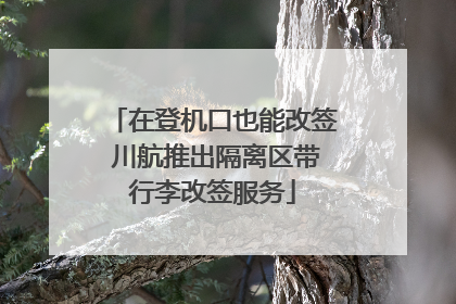 在登机口也能改签 川航推出隔离区带行李改签服务