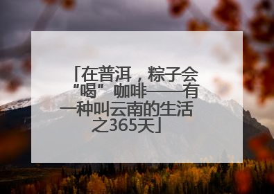 在普洱，粽子会“喝”咖啡——有一种叫云南的生活之365天