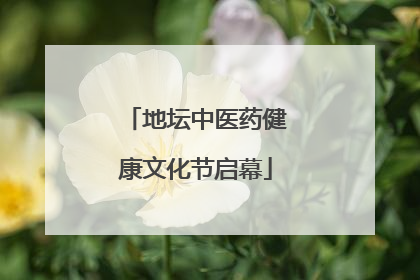 地坛中医药健康文化节启幕