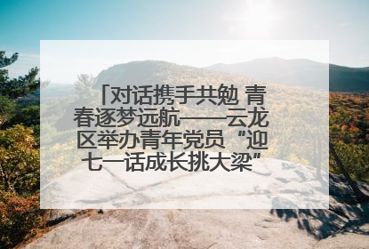 对话携手共勉 青春逐梦远航——云龙区举办青年党员“迎七一话成长挑大梁”交流活动