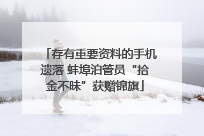 存有重要资料的手机遗落 蚌埠泊管员“拾金不昧”获赠锦旗
