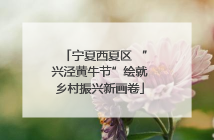 宁夏西夏区 “兴泾黄牛节”绘就乡村振兴新画卷