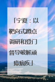 宁夏：以靶向式蹲点调研和登门督导破解顽瘴痼疾