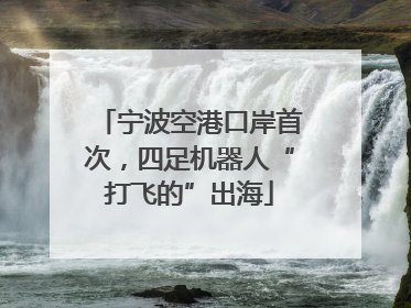 宁波空港口岸首次，四足机器人“打飞的”出海